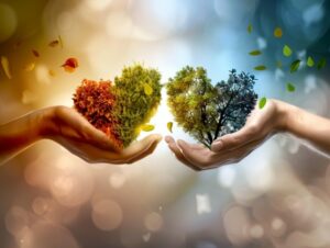 How Love Languages Strengthen Relationships