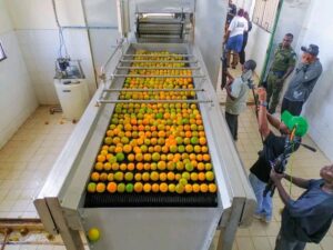 BIPC Commences Juice Production Testing at Revitalized Benfruits Industry