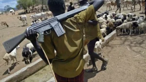 Benue Community Hit by Herdsmen Attack, Women Abducted, Market Destroyed